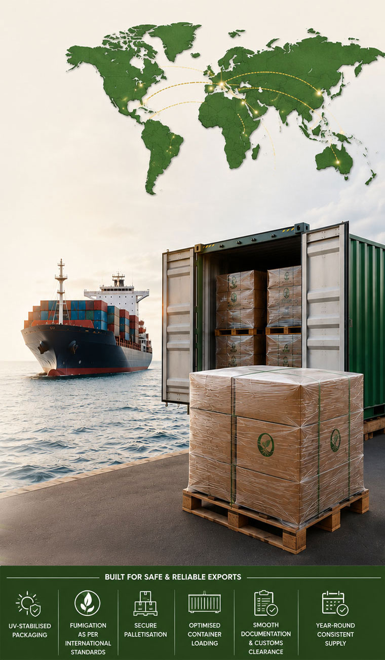 Export Capabilities