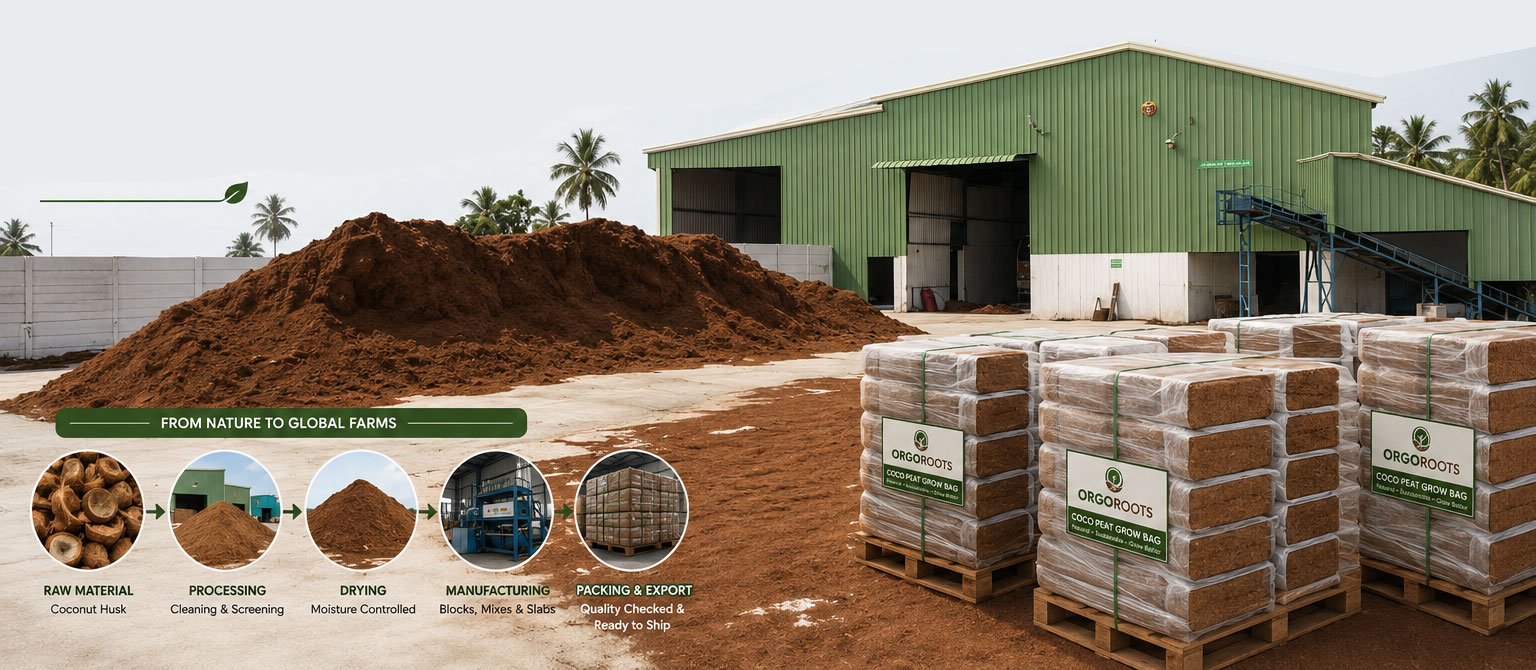 Export Capabilities